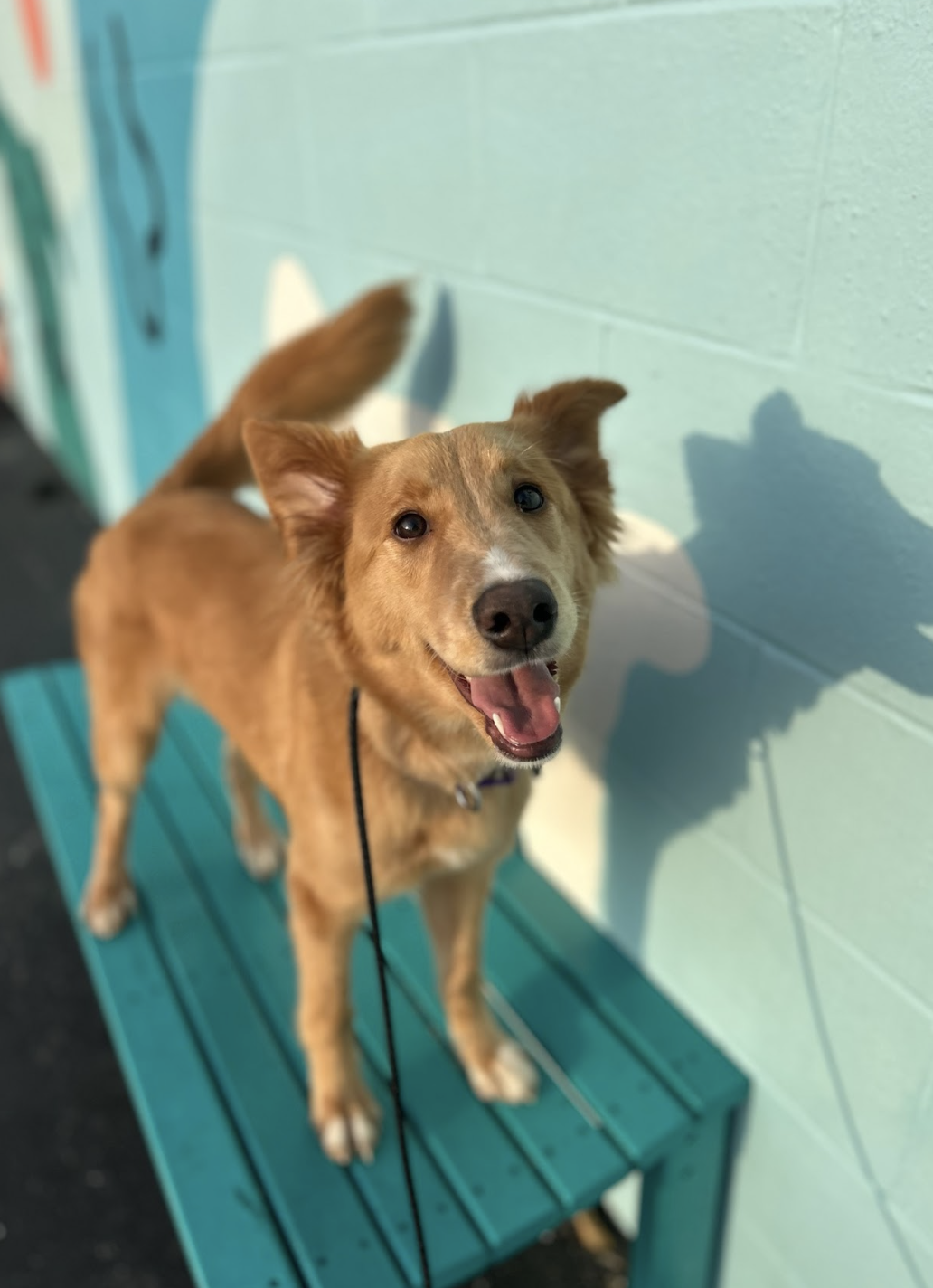 Screenshot 2025-11-20 at 1.27.02 PM.png