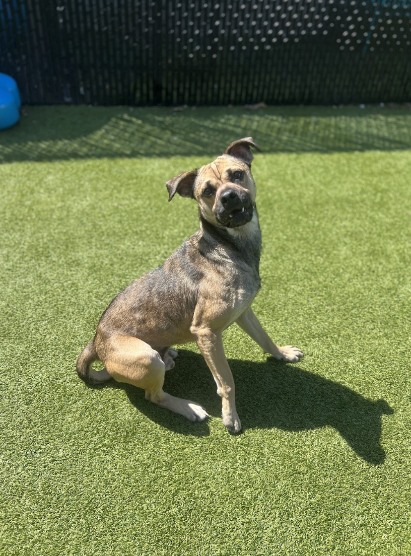 Screenshot 2026-03-20 at 2.24.26 PM.png