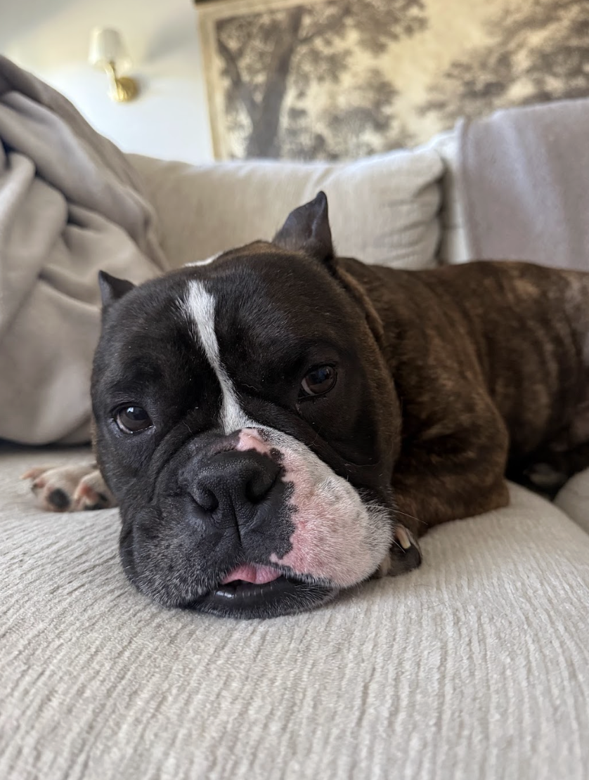 Screenshot 2026-04-22 at 2.47.07 PM.png