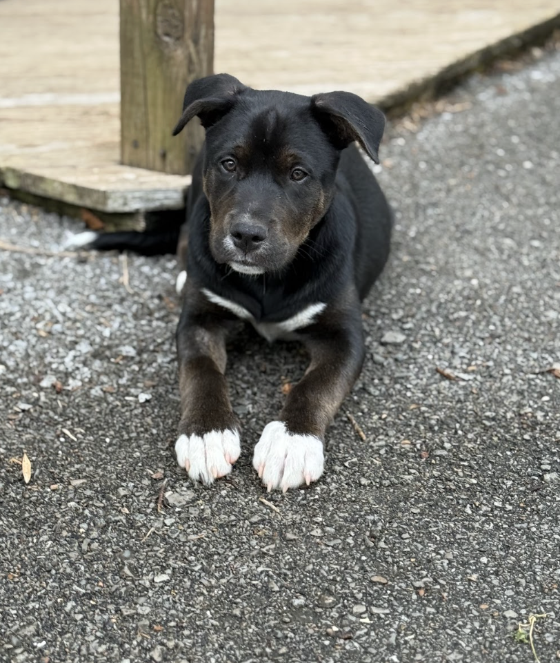 Screenshot 2026-03-12 at 3.36.16 PM.png