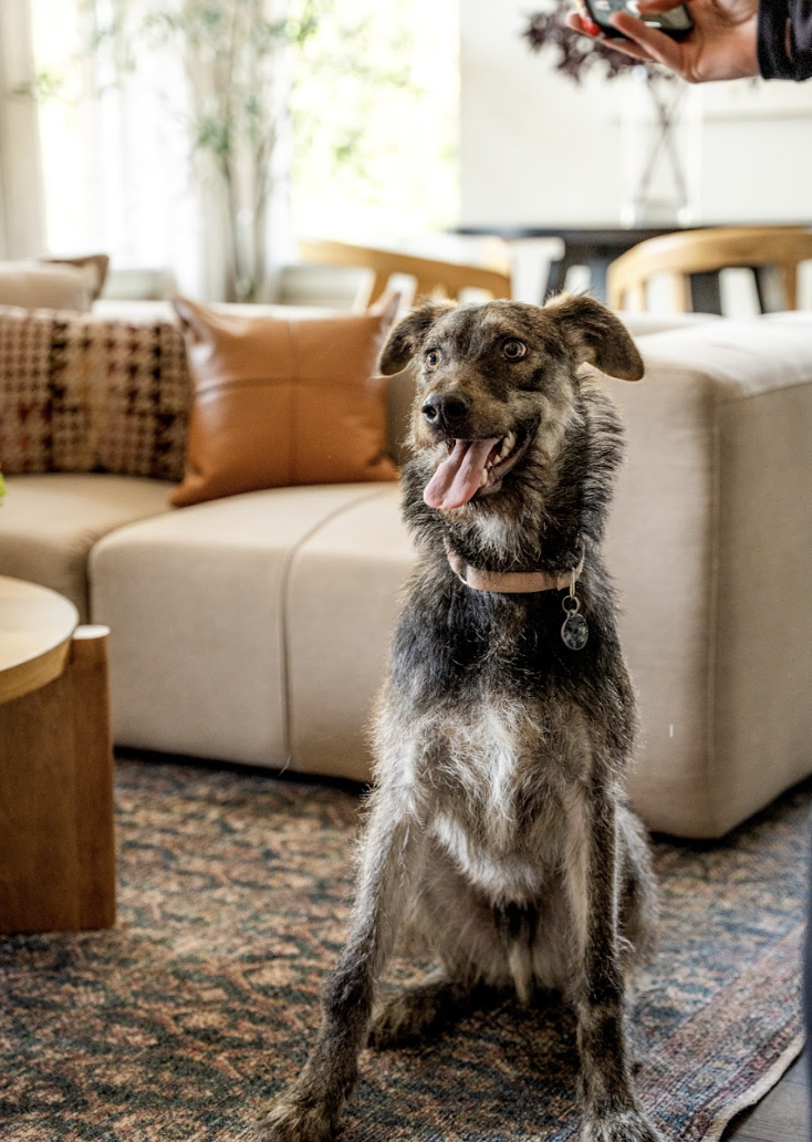 Screenshot 2026-04-22 at 4.36.42 PM.png