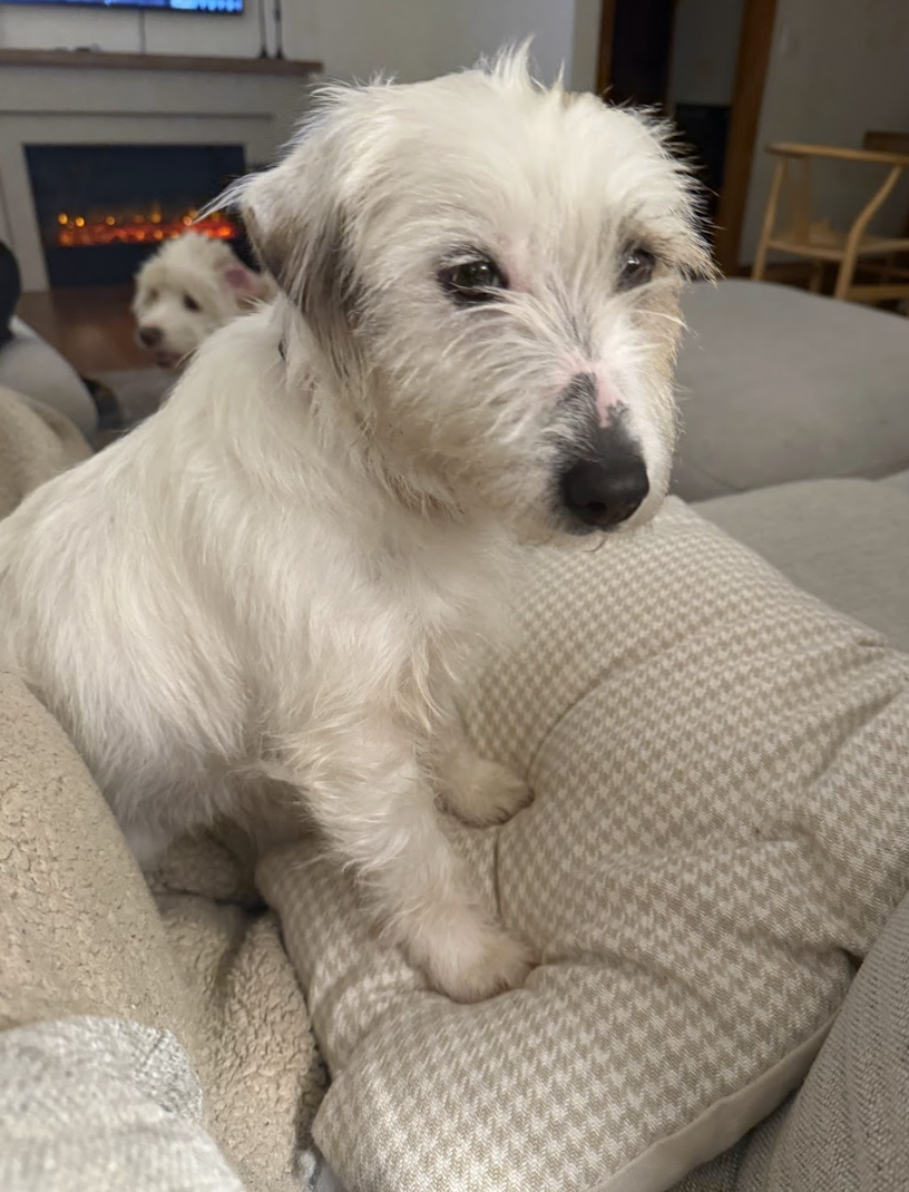 Screenshot 2026-03-21 at 2.18.28 PM.png