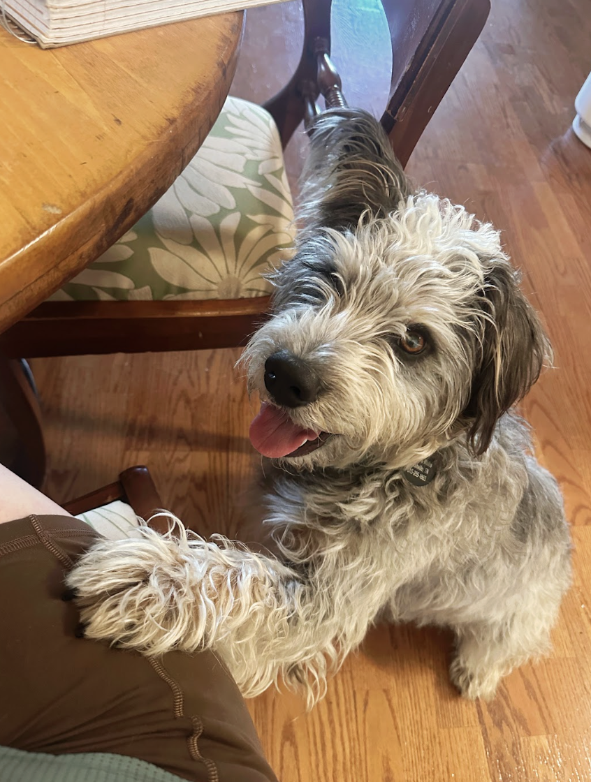 Screenshot 2026-04-22 at 6.01.25 PM.png