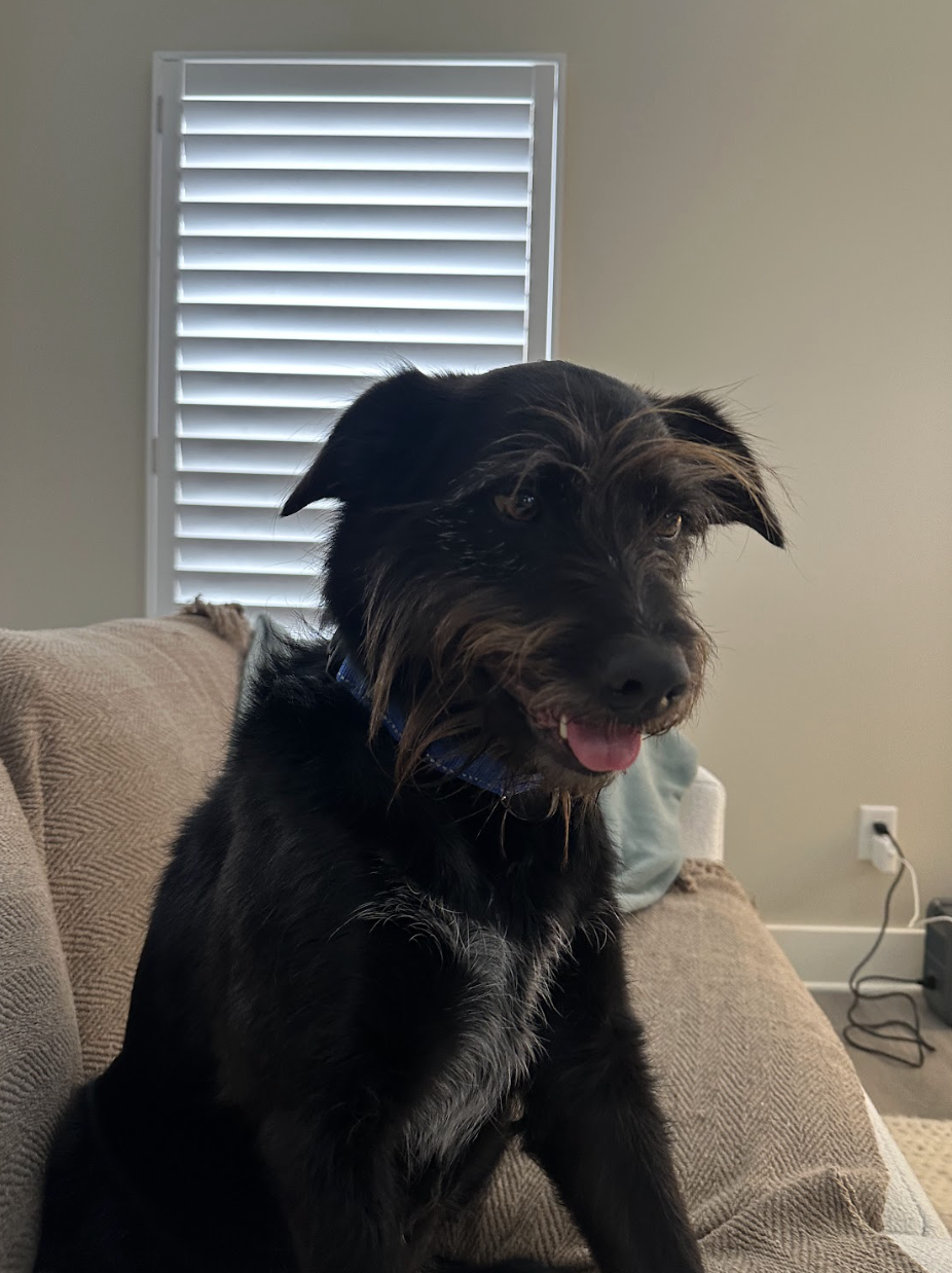 Screenshot 2026-01-25 at 10.05.02 AM.png