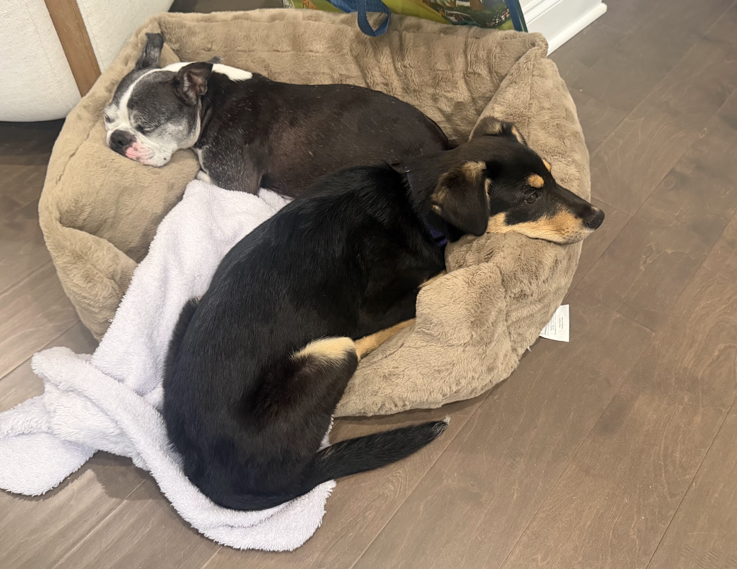 Screenshot 2026-04-20 at 2.44.26 PM.png