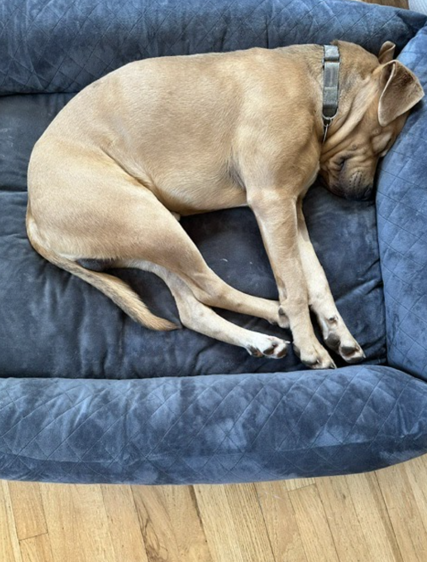 Screenshot 2026-04-22 at 5.19.38 PM.png