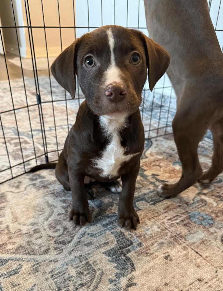 Screenshot 2026-01-07 at 1.12.48 PM.png