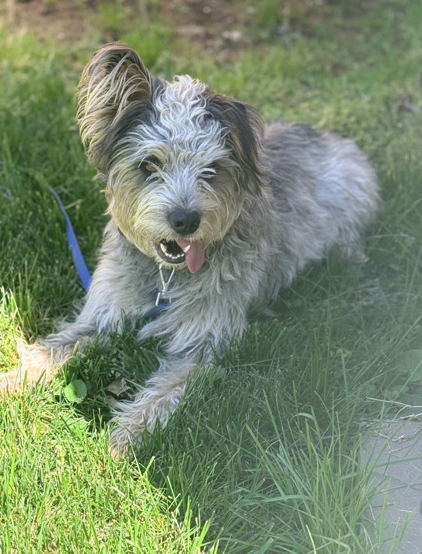 Screenshot 2026-04-08 at 12.41.17 PM.png