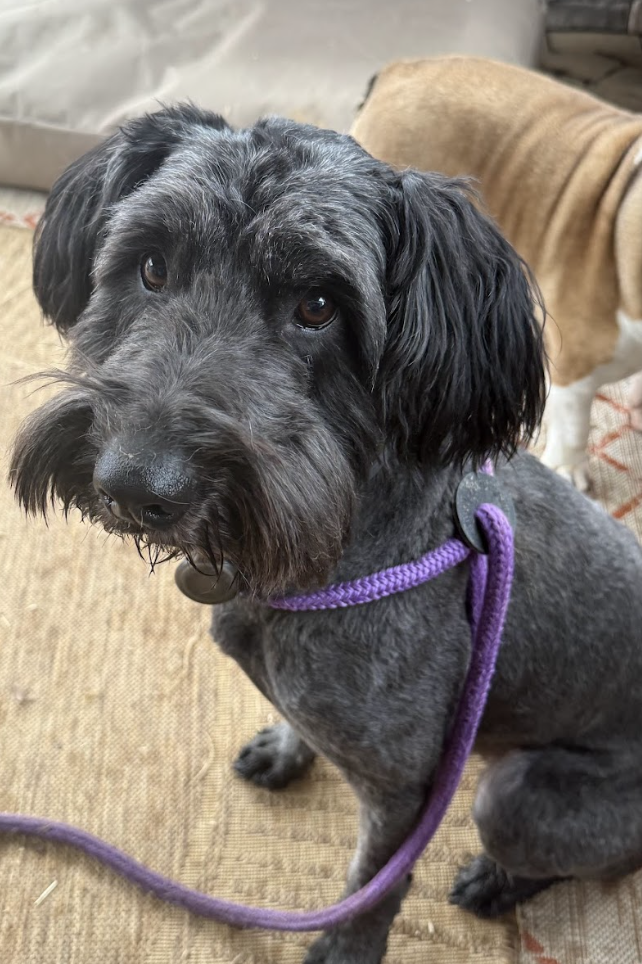 Screenshot 2026-02-11 at 4.08.05 PM.png