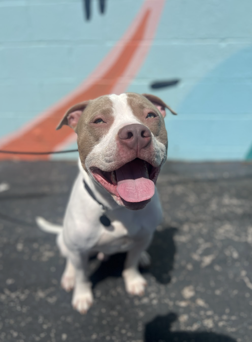 Screenshot 2026-04-23 at 2.02.20 PM.png