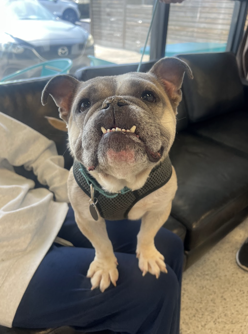 Screenshot 2026-04-22 at 2.36.19 PM.png