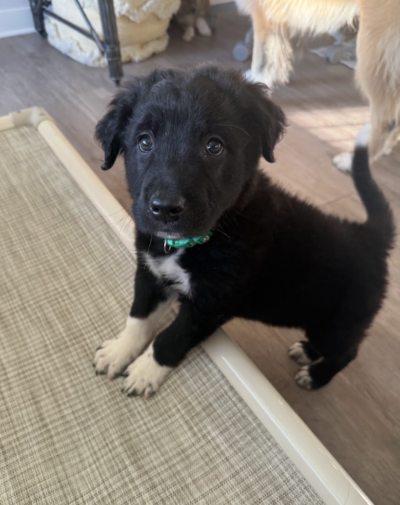 Screenshot 2026-04-23 at 6.50.13 PM.png