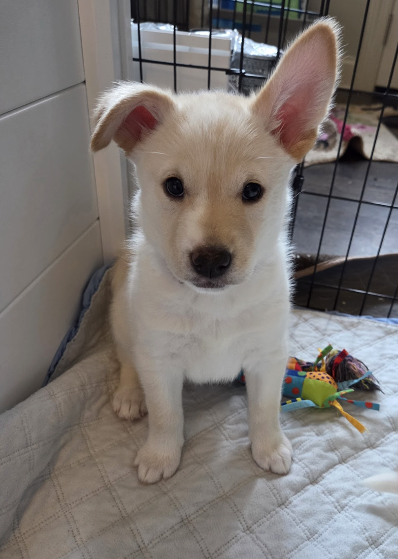 Screenshot 2026-01-14 at 6.37.16 PM.png