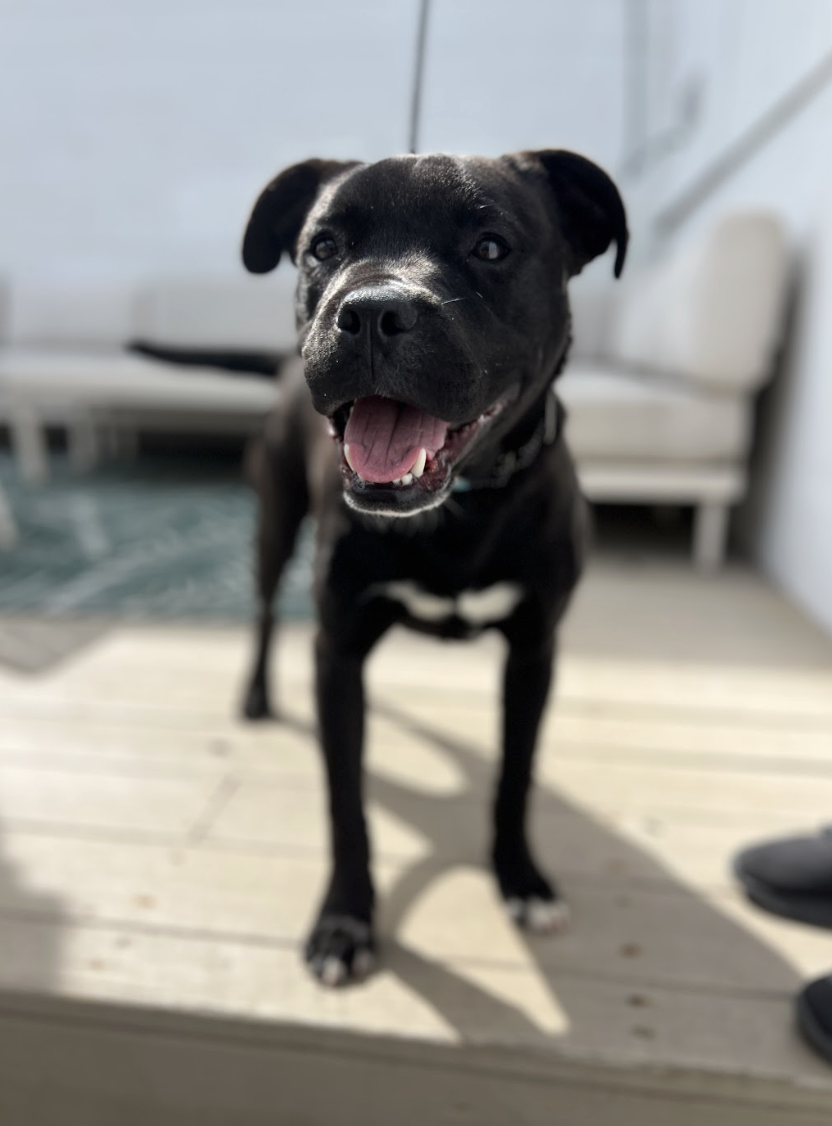 Screenshot 2026-03-14 at 4.59.56 PM.png