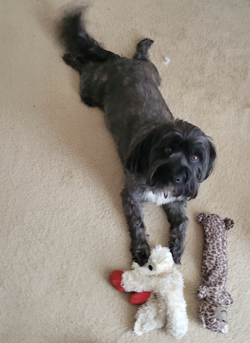 Screenshot 2026-04-22 at 3.59.29 PM.png