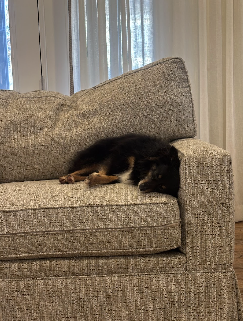 Screenshot 2026-01-24 at 4.46.30 PM.png