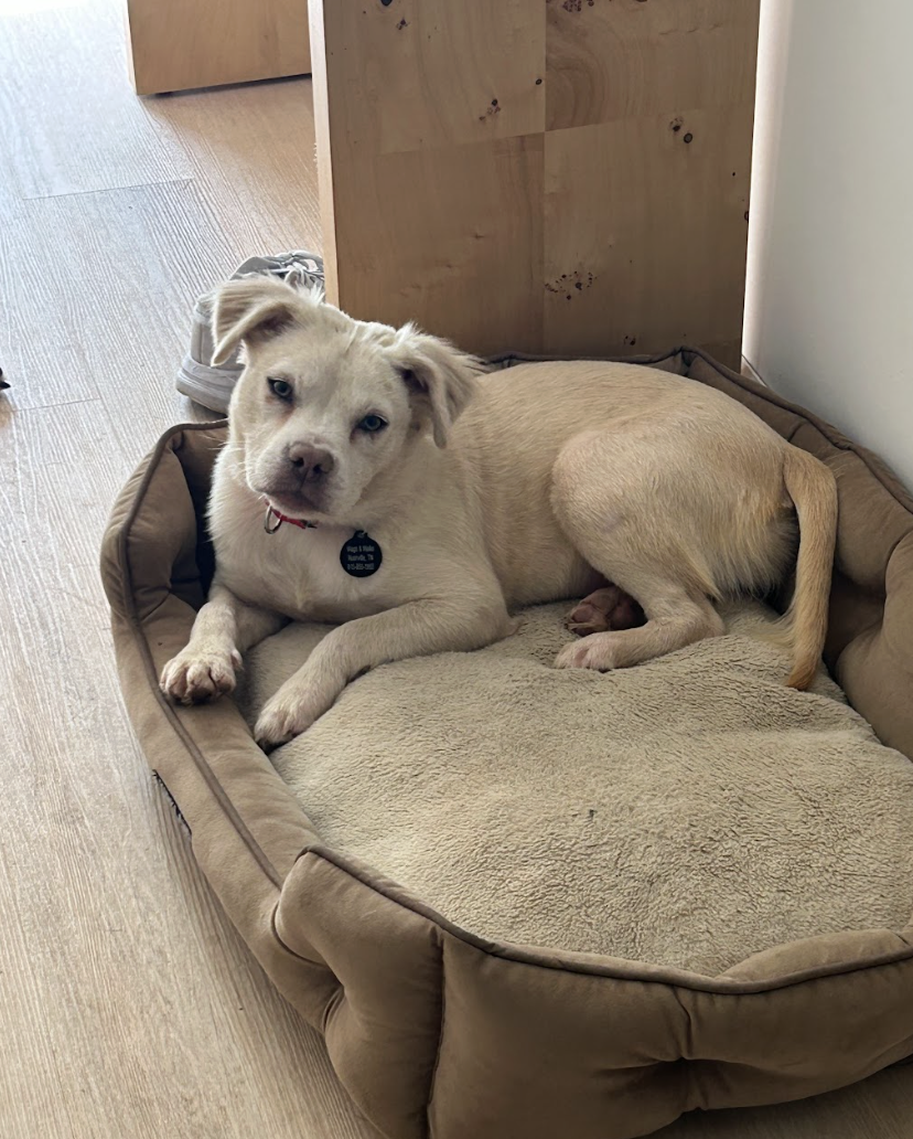 Screenshot 2026-04-08 at 3.37.23 PM.png