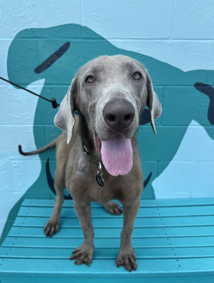 Screenshot 2026-04-23 at 1.50.13 PM.png