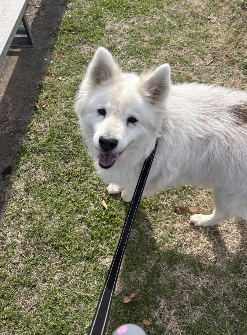 Screenshot 2026-03-24 at 12.30.36 PM.png