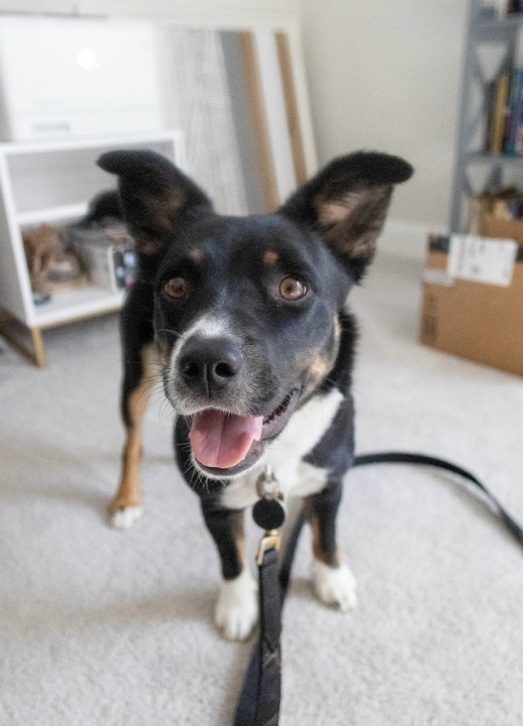 Screenshot 2026-04-22 at 4.50.25 PM.png