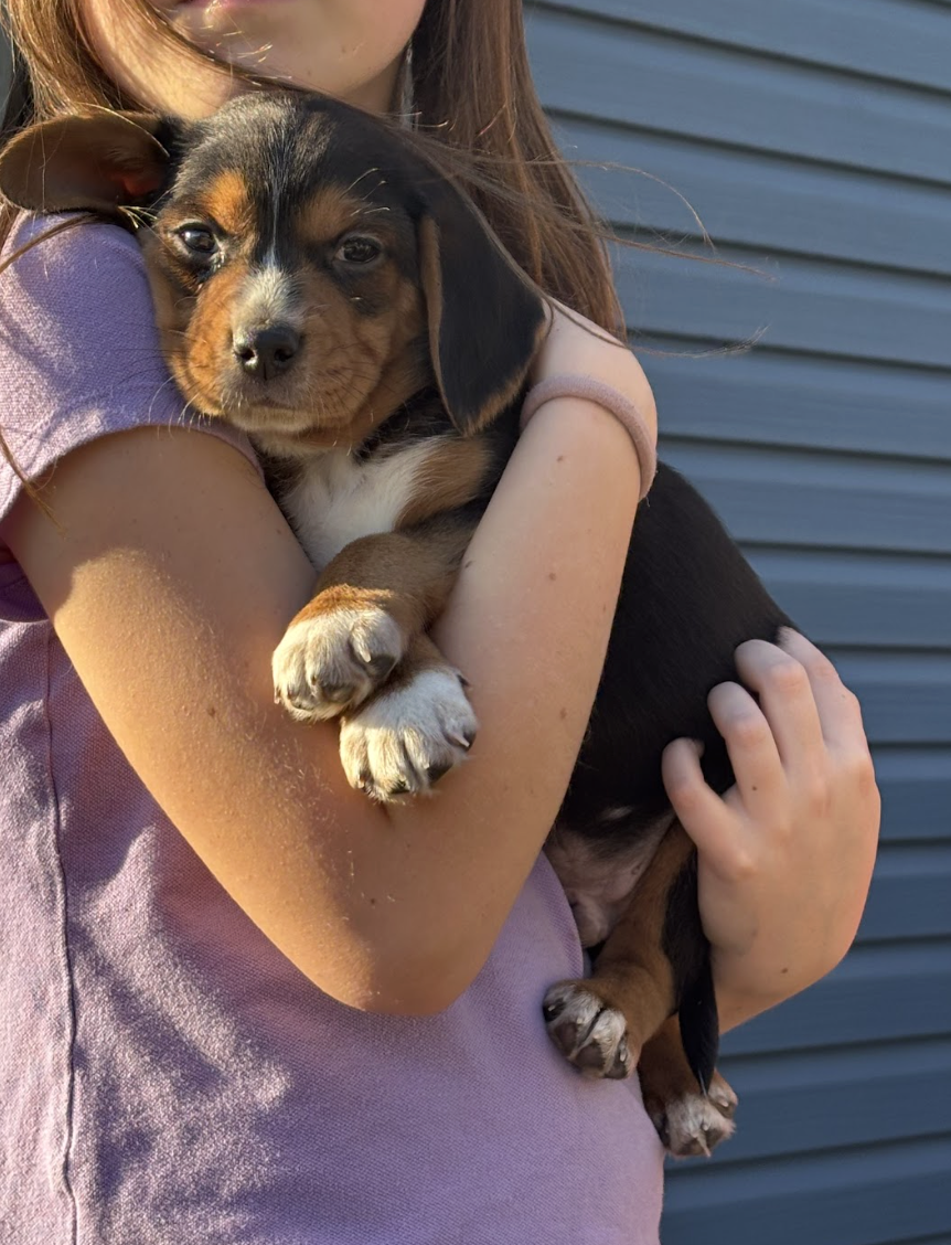 Screenshot 2026-02-21 at 4.40.50 PM.png