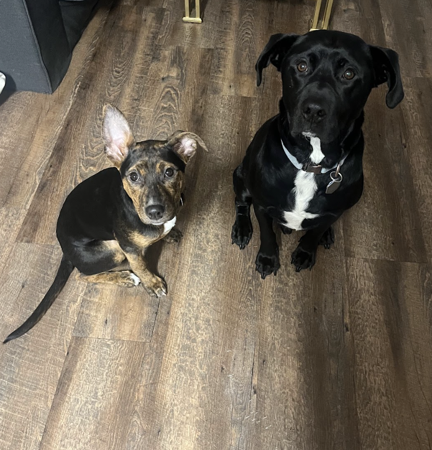 Screenshot 2026-02-07 at 7.59.45 AM.png