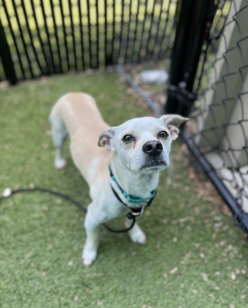 Screenshot 2026-04-09 at 6.46.58 PM.png