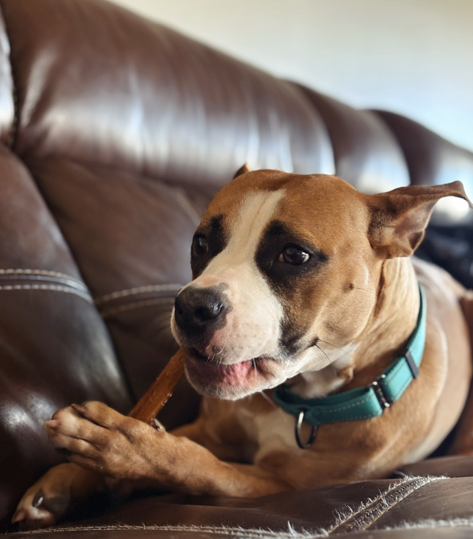 Screenshot 2026-02-07 at 8.27.18 AM.png