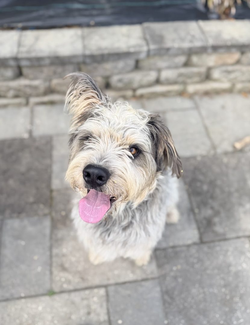 Screenshot 2026-04-08 at 12.40.35 PM.png