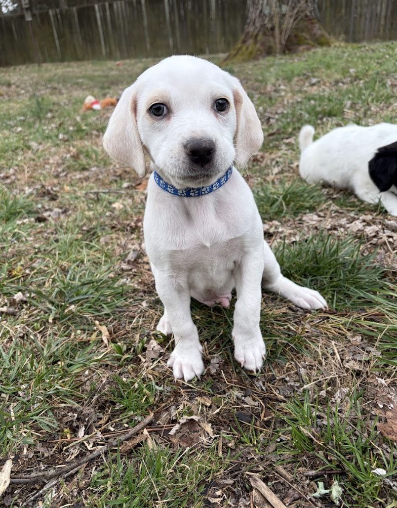 Screenshot 2026-03-10 at 8.56.59 PM.png