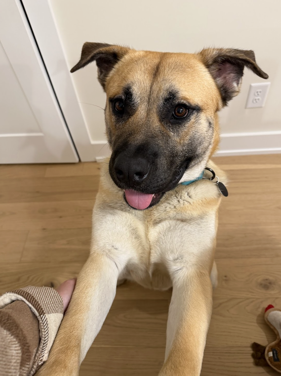 Screenshot 2026-02-27 at 1.54.00 PM.png