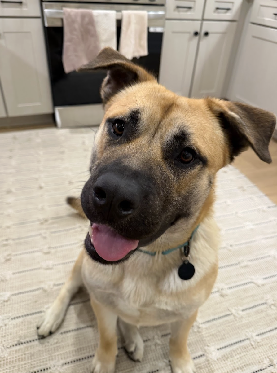 Screenshot 2026-02-27 at 1.54.18 PM.png