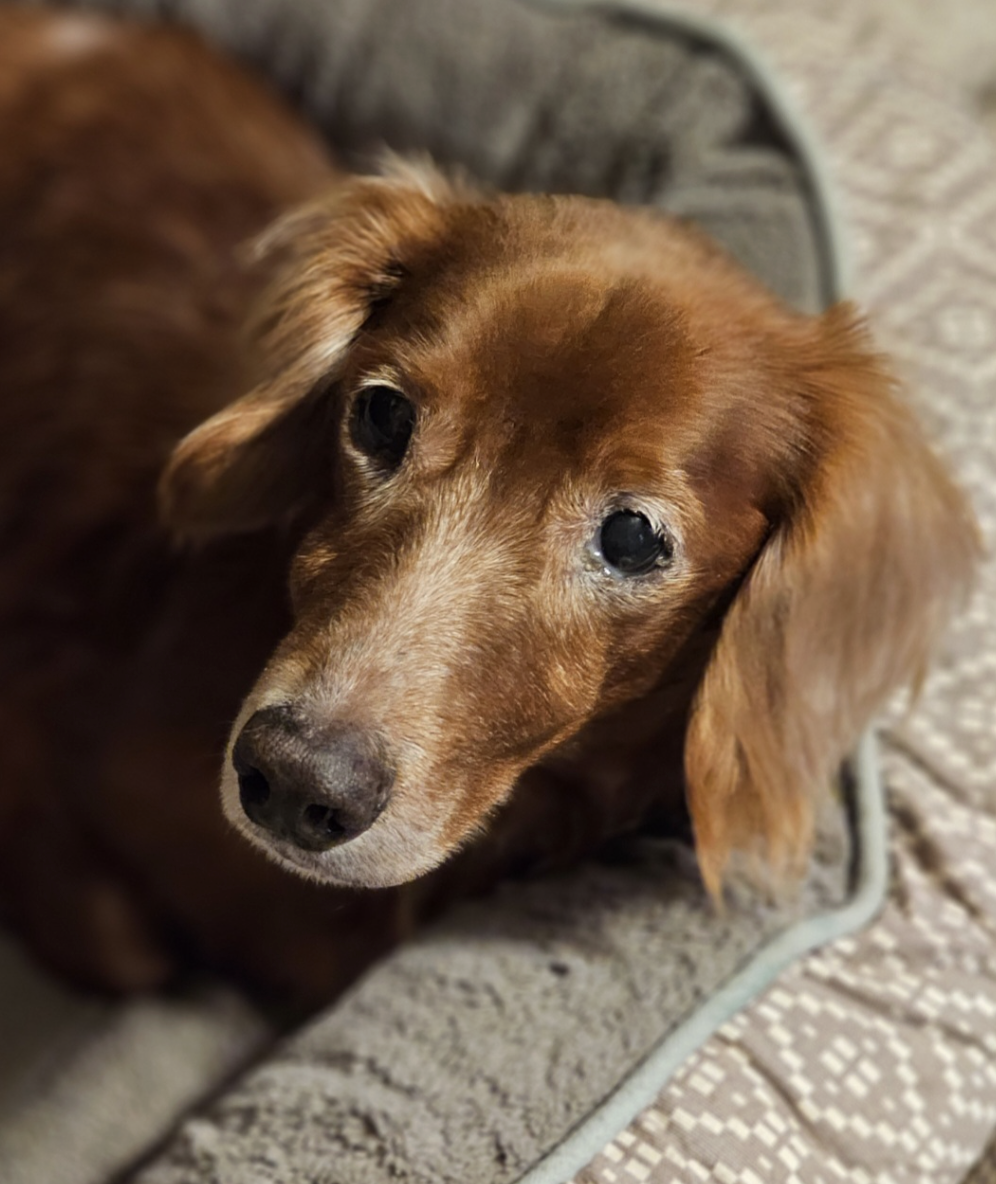 Screenshot 2026-01-28 at 5.08.58 PM.png