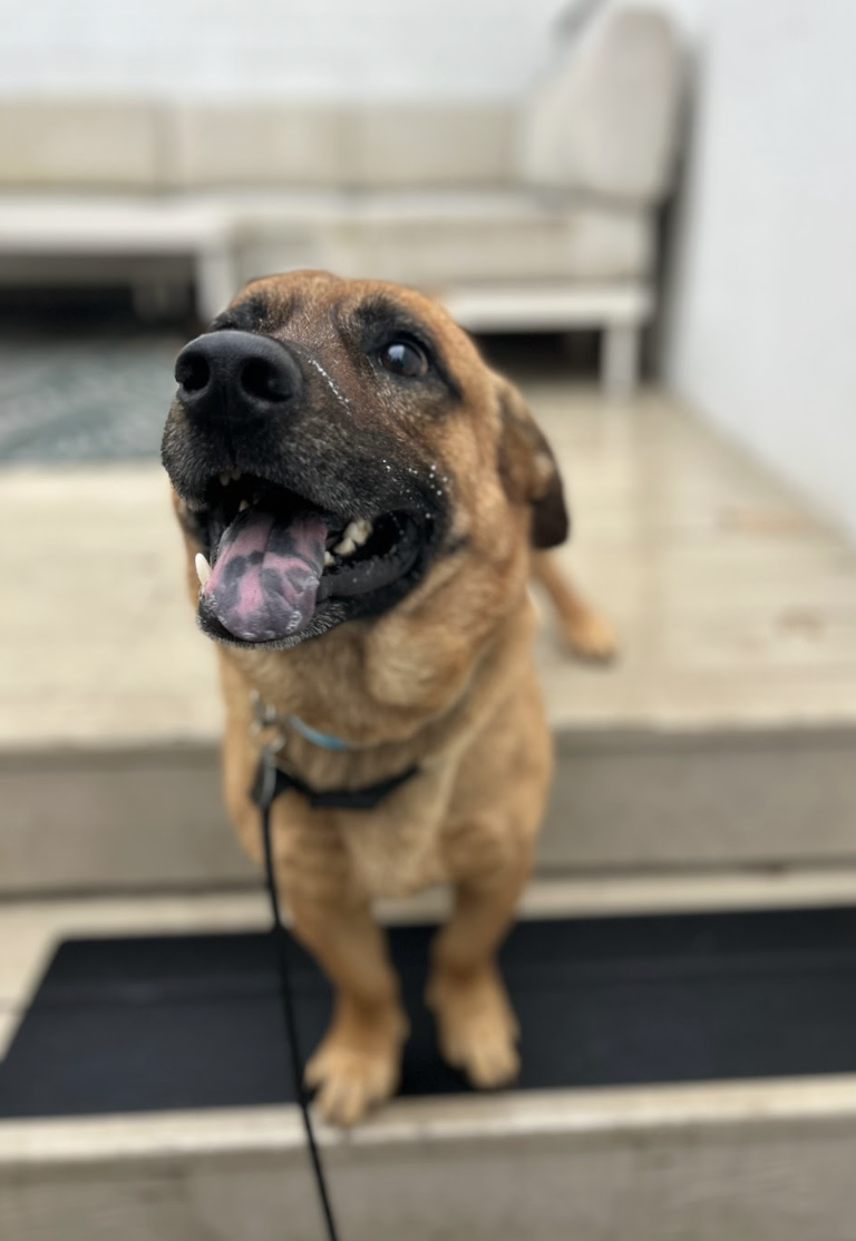 Screenshot 2025-12-18 at 1.50.17 PM.png