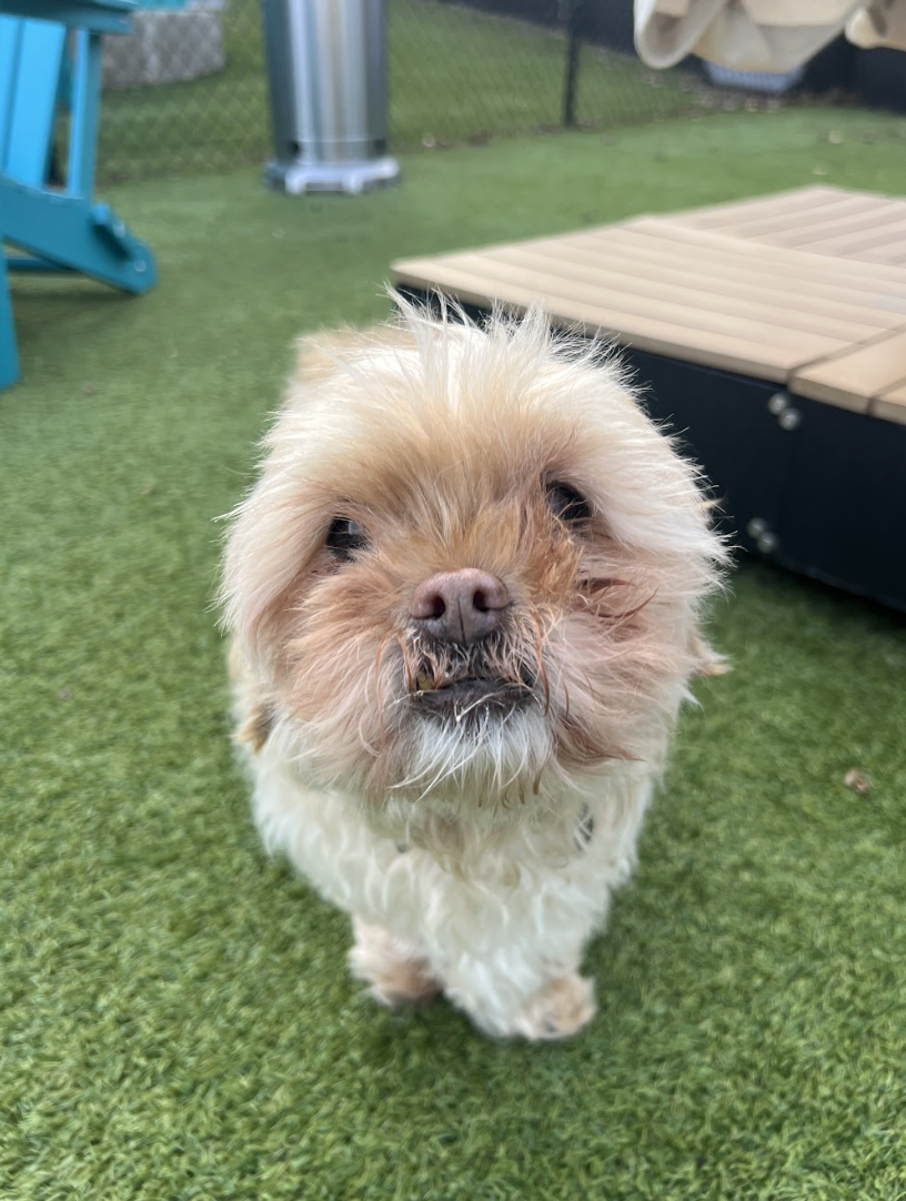 Screenshot 2026-03-06 at 2.47.55 PM.png