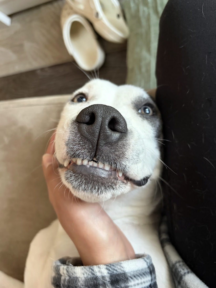 Screenshot 2026-04-22 at 6.14.13 PM.png