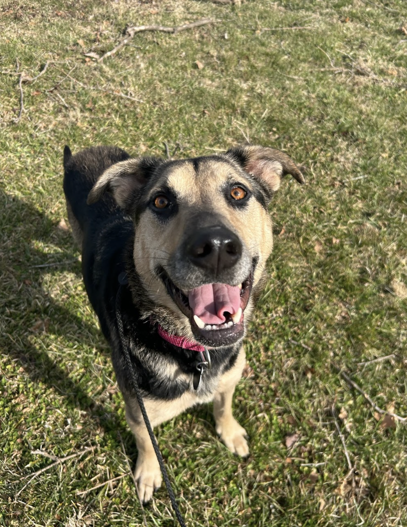 Screenshot 2026-02-12 at 2.21.08 PM.png