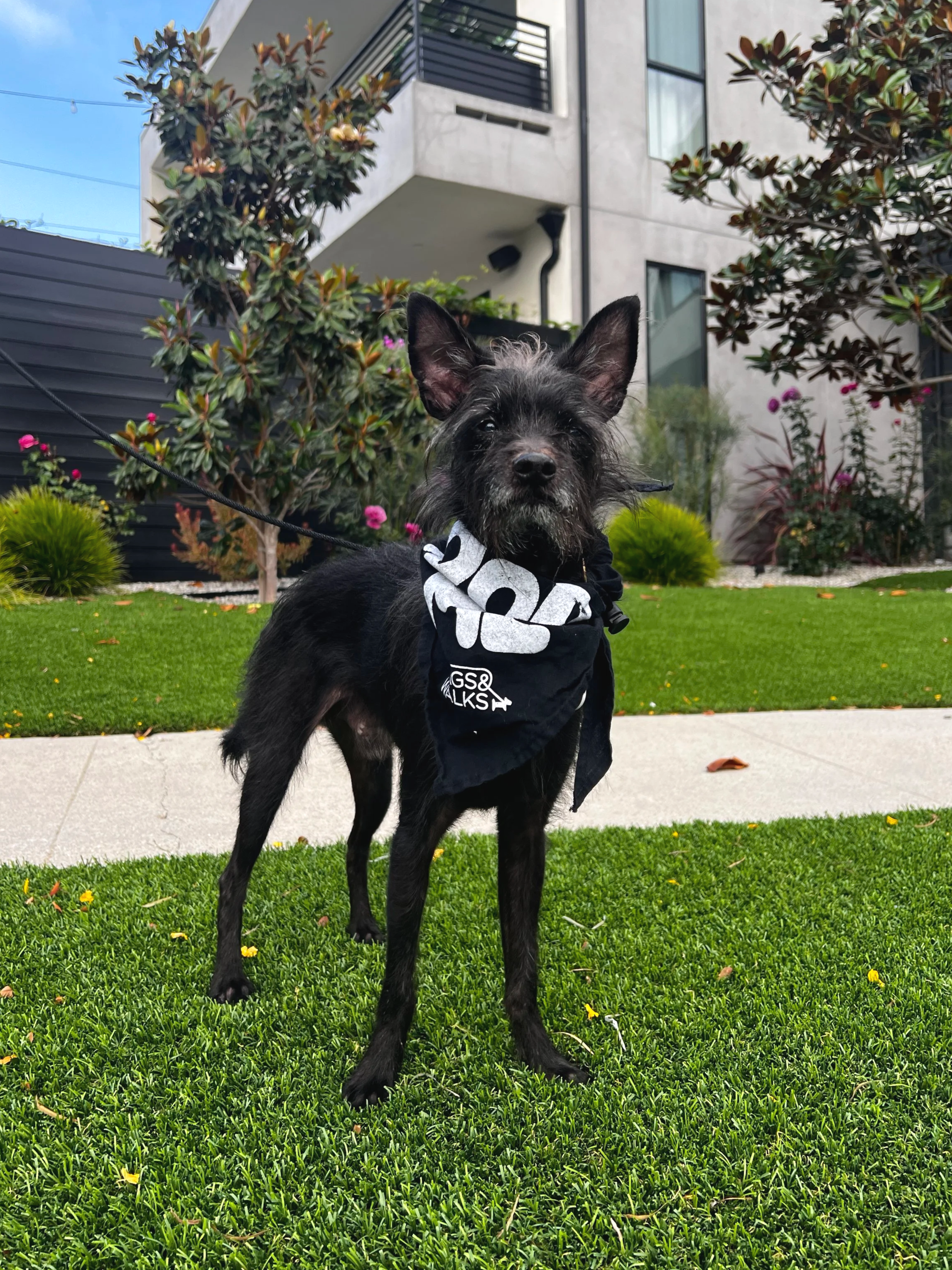 Oswald