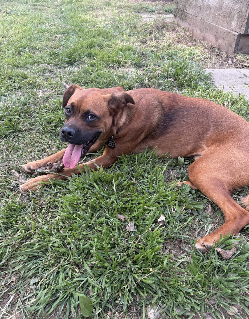 Screenshot 2026-04-22 at 4.04.09 PM.png