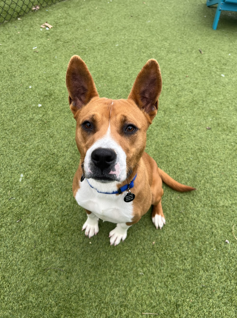 Screenshot 2026-01-30 at 8.01.09 PM.png