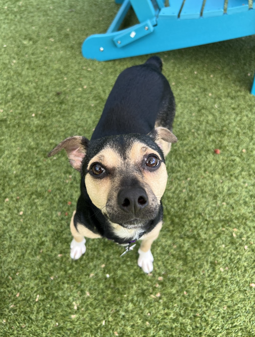 Screenshot 2026-04-09 at 6.49.56 PM.png