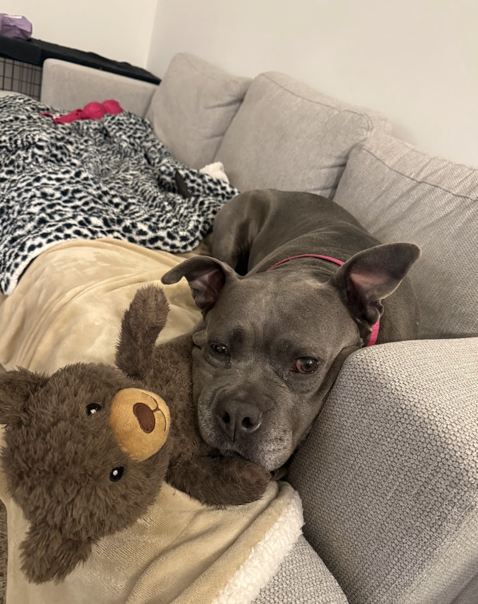 Screenshot 2026-02-16 at 6.13.30 PM.png