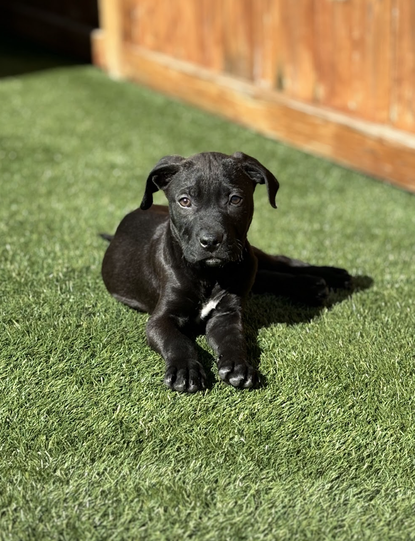 Screenshot 2026-02-26 at 8.49.30 PM.png