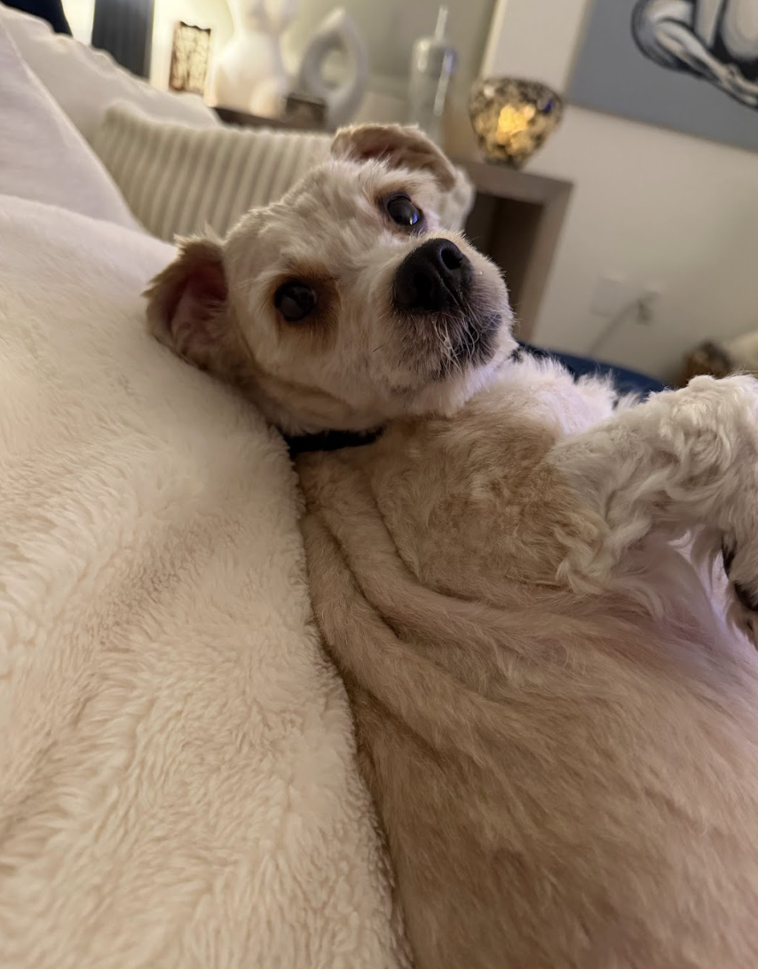 Screenshot 2026-04-16 at 7.08.33 PM.png