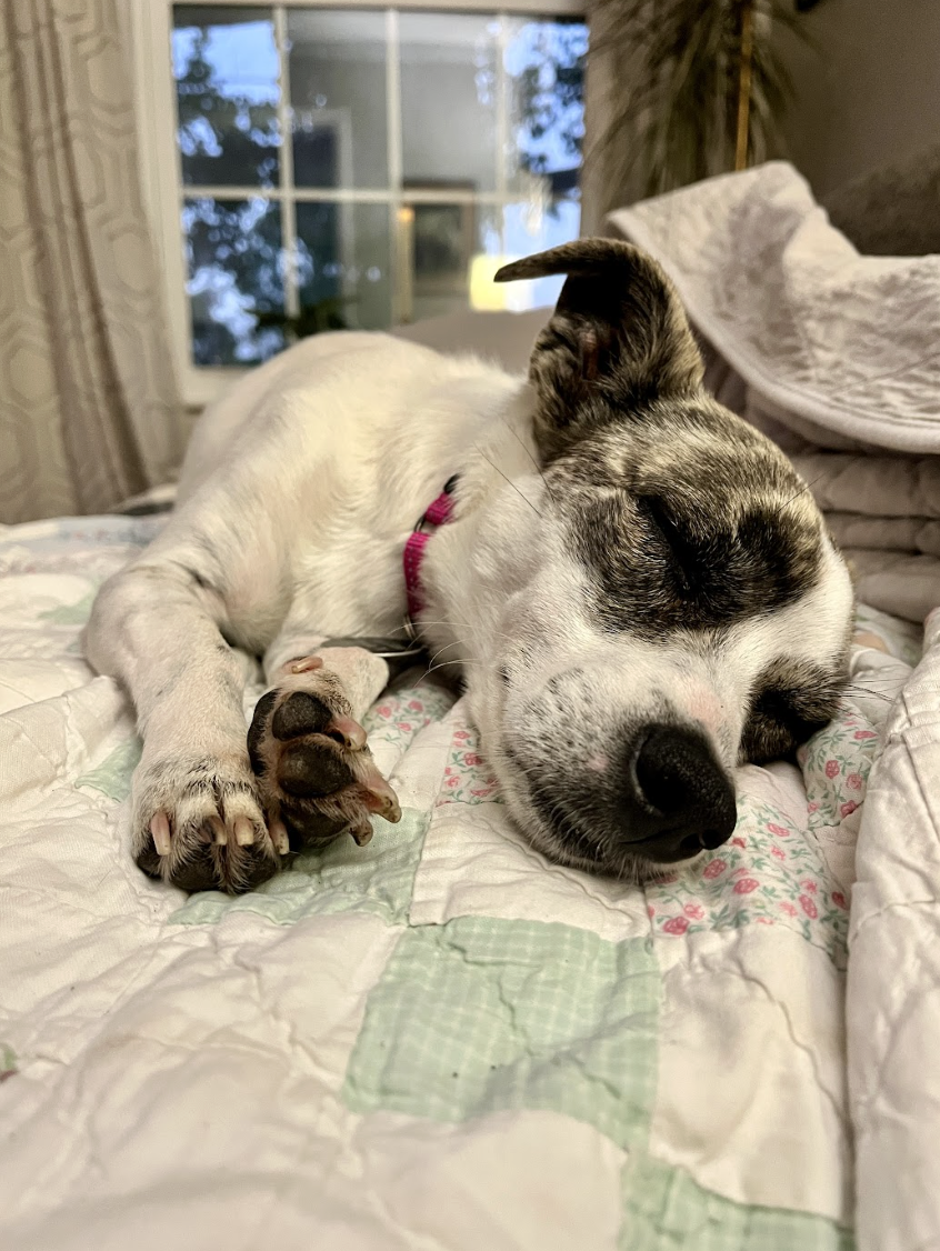 Screenshot 2026-04-22 at 3.25.29 PM.png