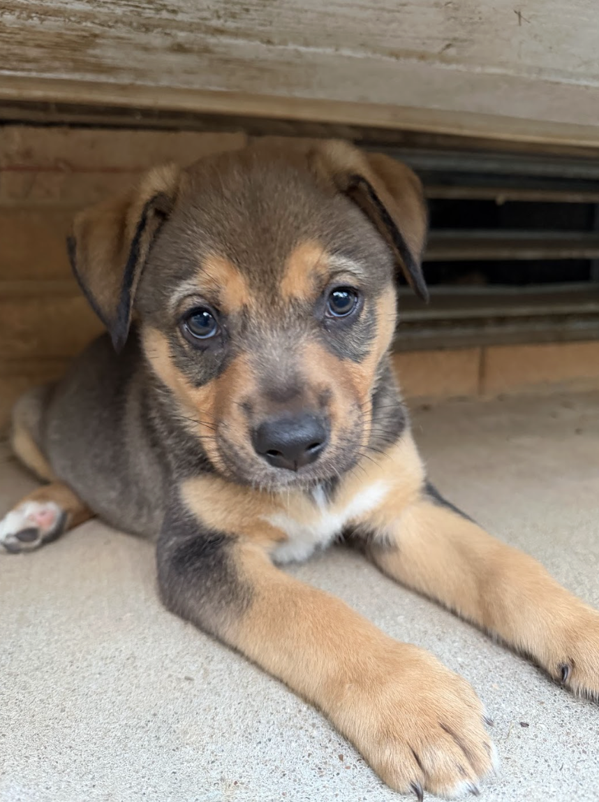 Screenshot 2026-04-07 at 5.09.50 PM.png