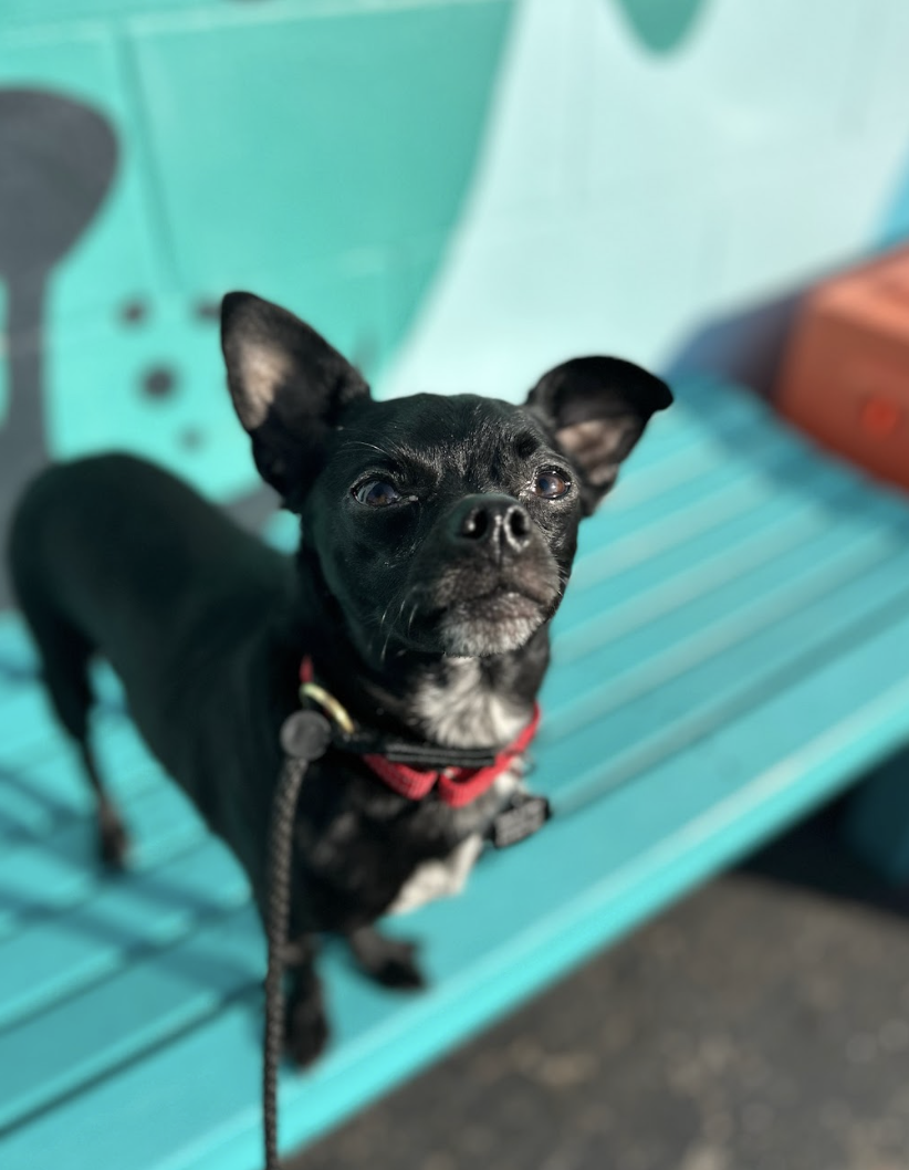 Screenshot 2026-04-23 at 2.06.59 PM.png