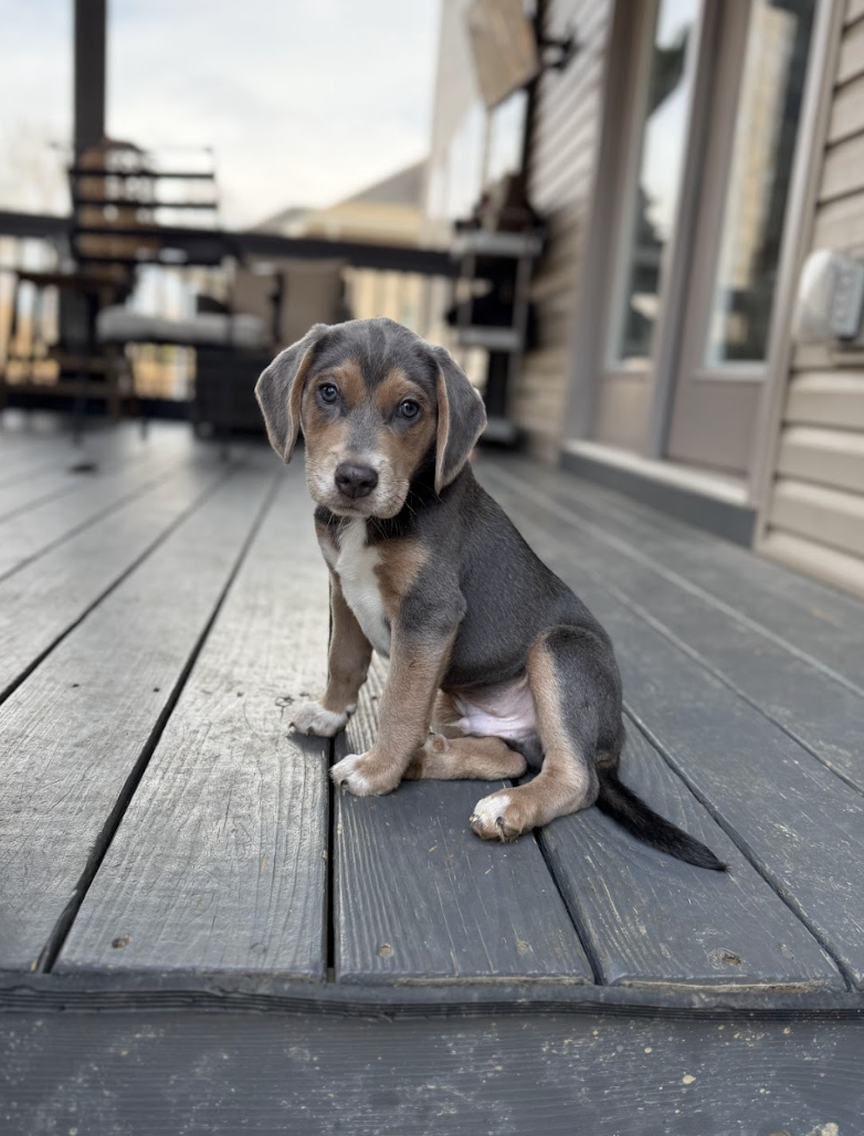 Screenshot 2026-03-07 at 10.51.19 AM.png