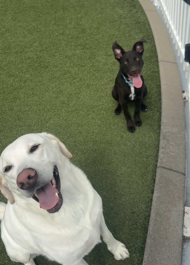 Screenshot 2026-04-23 at 7.46.06 PM.png