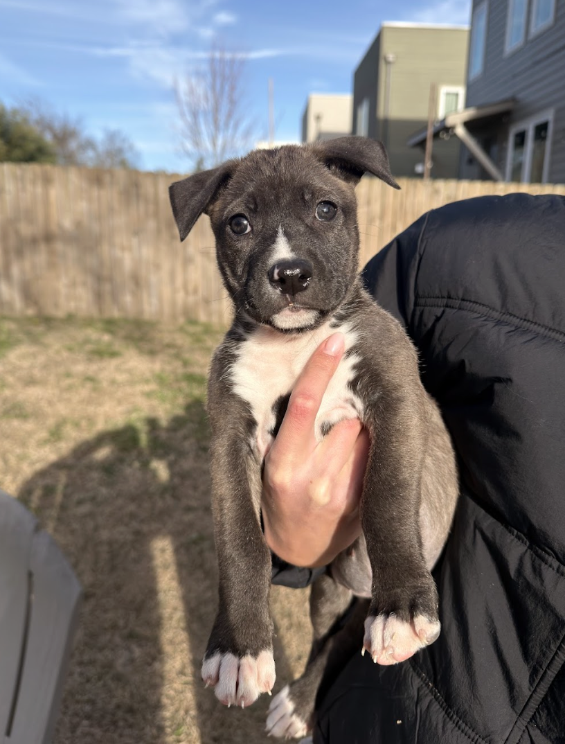 Screenshot 2026-03-20 at 2.58.18 PM.png